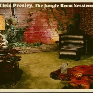 Cd Ftd 5'' Elvis Presley The Jungle Room Sessions