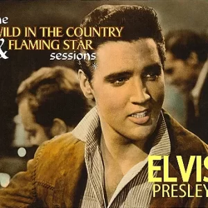 Cd Elvis Presley The Wild In The Country & Flaming Star Sessions